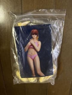 DEAD OR ALIVE デッドオアアライブ　リサ　ガレージキット 3d印刷ガレージキット,1/6/33cm,モデルgkデッドオアアライブ,カスミ