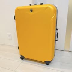 極美品ProtecA スーツケース 65L エキノックス 4輪問題ナシ 極美品ProtecA スーツケース 65L エキノックス 4輪問題ナシ - メルカリ