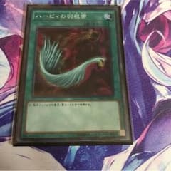 ハーピィの羽根箒のサムネイル