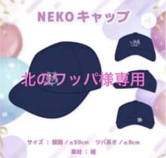 ホロライブ 湊あくあ NEKOキャップ 帽子 誕生日記念グッズ 2021のサムネイル