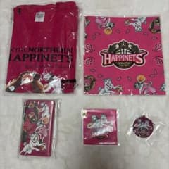 11【新品】秋田ノーザンハピネッツ＆銀牙 コラボ 銀牙 ☆流れ星銀