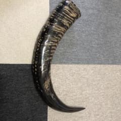 水牛（？）の角 - メルカリ