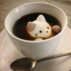 るいぽん さん専用のサムネイル