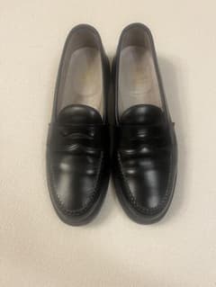 Alden オールデン 981 ペニーローファー 9.5Aのサムネイル