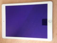 Tea's shop様専用　iPad第5世代32GBシルバーのサムネイル
