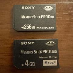 [Working Condition] SONY Memory Stick PRO Duo 4GB 256MB