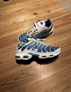 NIKE Air Max Plus (TN) "sky blue"のサムネイル