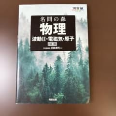 名問の森 物理 波動II・電磁気・原子 四訂版 河合出版のサムネイル