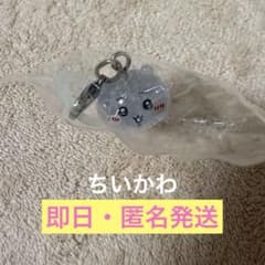 ちいかわパーク 入場者特典 まめまめフィギュア チャームマーカー ちいかわのサムネイル