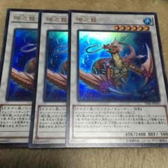 コーラル・ドラゴン3枚セットのサムネイル