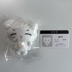 boys planet ALD1 サンヒョン 10cm ぬいぐるみ - メルカリ