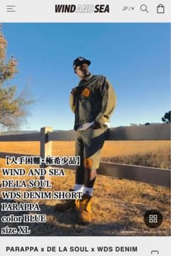 WIND AND SEA DE LA SOUL WDS DENIM SHORT - メルカリ