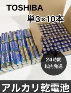 単3【10本】長持ち アルカリ乾電池 単3電池 単3単3形 単三 単三電池 