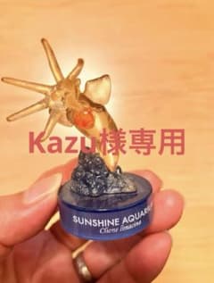 Kazu様専用、水族館ガチャ2点セットのサムネイル