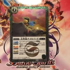 ナイルバード リッター様専用のサムネイル