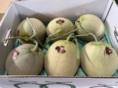 地域によって値引き】夕張メロン共撰品良品6玉 1玉約1.3kg※掲載は九州