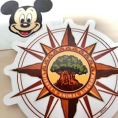 ウォルトディズニーワールド。アニマル・キングダム 柄＆DVCミッキー