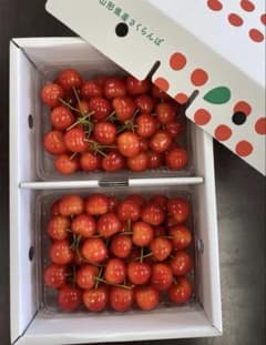 たくさん食べたい佐藤錦Ｌサイズ2kgセットのサムネイル