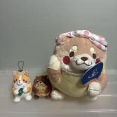 ぬいぐるみ 忠犬もちしば 3点セット