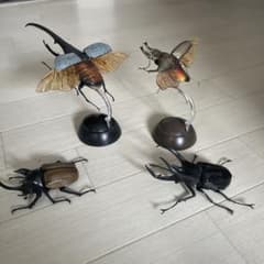 カブトムシ、クワガタセットのサムネイル