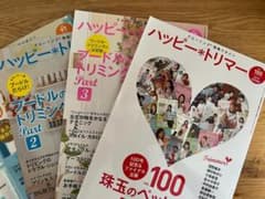 「安倍さん専用」ハッピートリマーVol85～100　まとめ売りのサムネイル