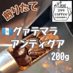 グアテマラ アンティグア SHB 中煎り 200g 自家焙煎 コーヒー豆のサムネイル