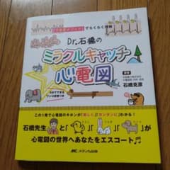 Dr.石橋のミラクルキャッチ★心電図 「うさぎメソッド」でらくらく理解!のサムネイル