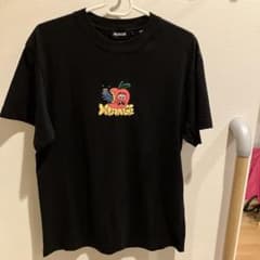 XLARGE アップル 刺繍 Tシャツ ブラックのサムネイル