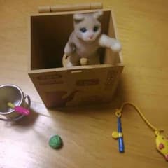 ぷちねこ日記⑧おもちゃとたたかう(値下げしました)のサムネイル