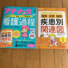 プチナース　母性、小児、精神　疾患別関連図付きのサムネイル