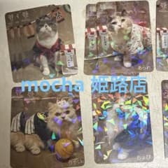 CAT CAFE MOCHA にゃんずトレカ 姫路店のサムネイル