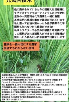 何でも食べない！７年産コシヒカリ 発芽用玄米10kg 特別栽培① 無農薬のサムネイル