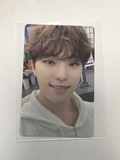 SEVENTEEN DINO セブチ ディノ トレカのサムネイル