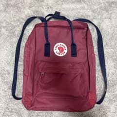 カンケンリュック レッド16Lのサムネイル