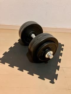 BODYMAKER❗️ダンベル❗️22.5kg‼️のサムネイル