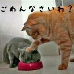 専用のサムネイル