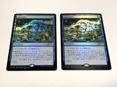 洪水の大口へ PWS プロモ FOIL 2枚セット カエルDX - メルカリ