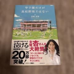 甲子園だけが高校野球ではないのサムネイル