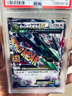 MレックウザEX PSA10のサムネイル