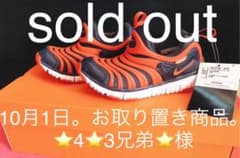 NIKE  ナイキ  ダイナモフリー　17センチのサムネイル