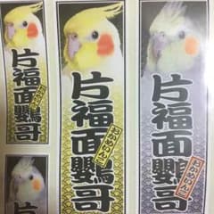 オカメインコ 千社札シールのサムネイル