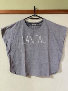 CLOUDNINE CANTALプリントTシャツ グレーのサムネイル