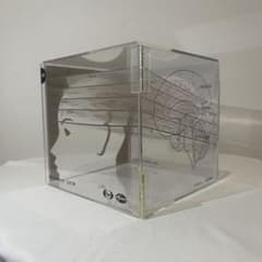 非売品】 BrainCUBE 脳 断面模型 北村伸監修 エーザイ ファイザー
