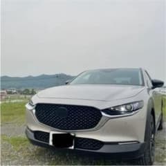 これからの夏に❗️cx30 カーパーツ2点セット！のサムネイル