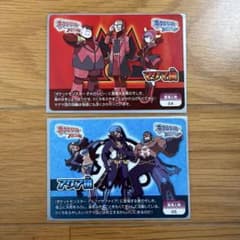 ポケモンスクラップカード マグマ団 アクア団 2枚セット - メルカリ