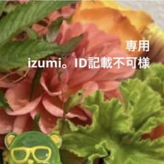 専用ページ izumi。ID記載不可様 専用ページ izumi。ID記載不可様 - メルカリ