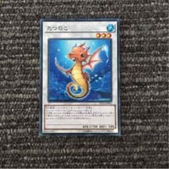 たつのこ １枚900円！のサムネイル