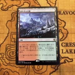 樹木茂る山麓 MTGのサムネイル