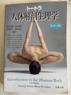 トートラ人体解剖生理学のサムネイル