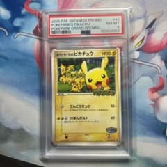 ポケパークのピカチュウ PROMO PCG-Pプロモカード 043/PCG-P - メルカリ